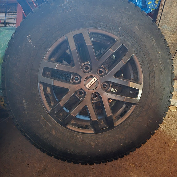 Ford Ranger Raptor 5 of 5