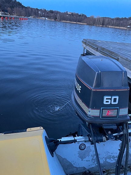 Timola 490R 4 of 5