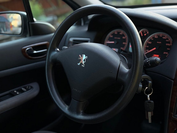 Peugeot 307 15 of 20