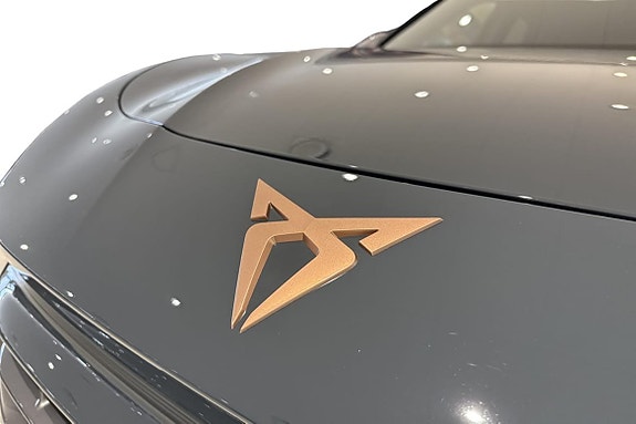 Cupra Terramar 23 of 25