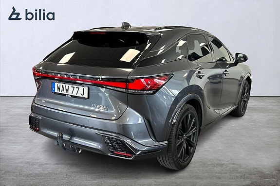 Lexus RX500h 19 of 21