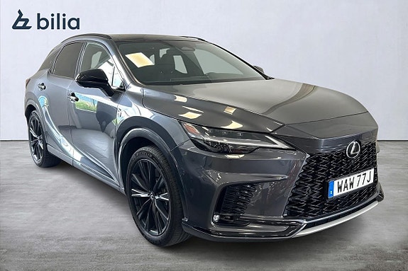 Lexus RX500h 20 of 21