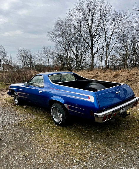 Chevrolet El Camino 1974 photo 4