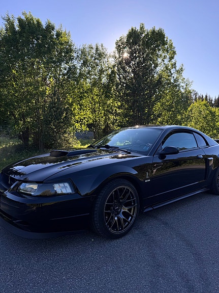 Ford Mustang 4 of 4