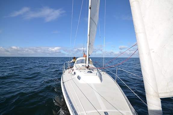 Norlin Fortissimo — View photo 1
