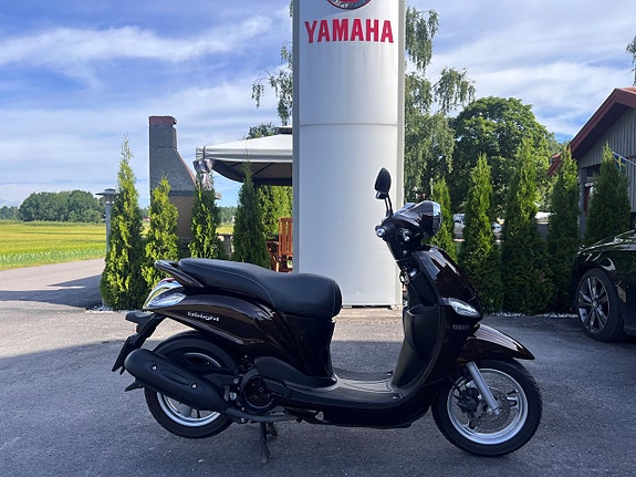 Yamaha D'elight