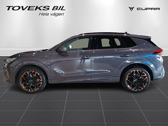 Cupra Terramar 6 of 25