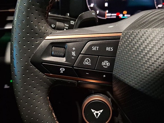 Cupra Terramar 19 of 25