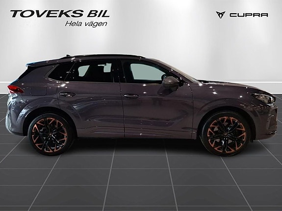 Cupra Terramar 2 of 25