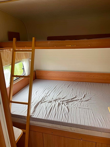 Solifer Goldie 550 GLT 5 of 11