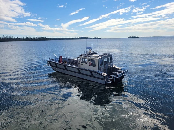 Arbetsbåt/ Aluminiumbåt MS BOAT C950WT 2 of 6