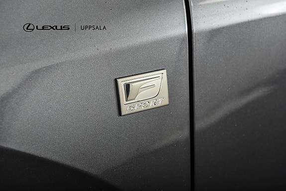Lexus RX450h+ 19 of 23
