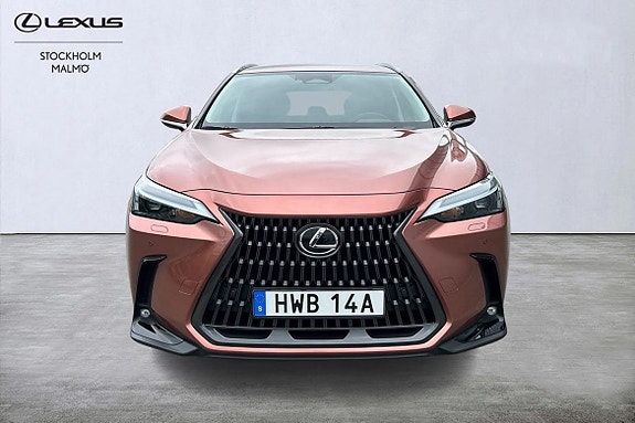 Lexus NX450h+ 21 of 24