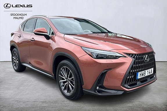 Lexus NX450h+ 6 of 24