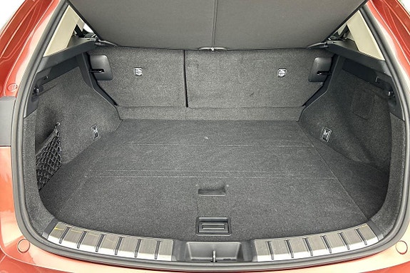 Lexus NX450h+ 23 of 24