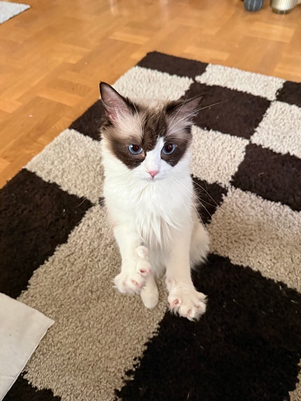 Product image 4 of 7