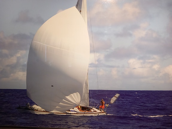 Wasa 55 — Vedi foto 1