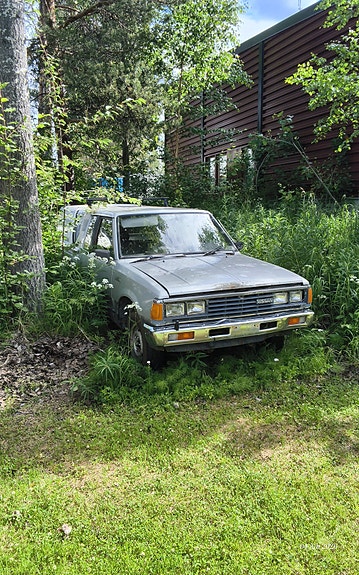 Nissan King Cab 4 of 4