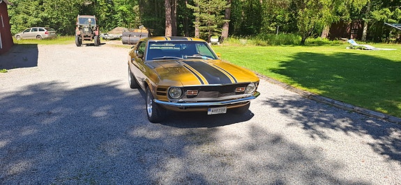 Ford Mustang 3 of 5