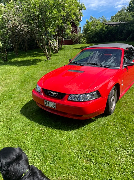 Ford Mustang 2 of 6