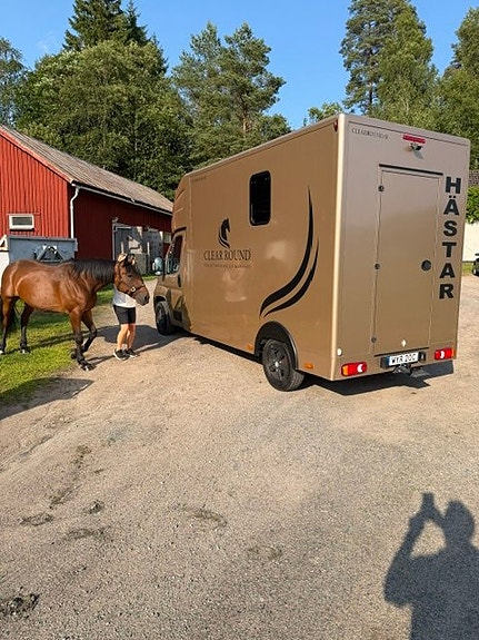 Hästlastbil b kort Clear round 8 of 12