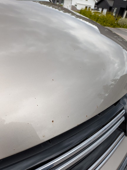 Volkswagen Tiguan 19 of 24