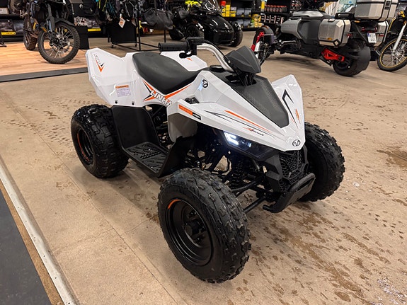Linhai 110 EFI Junior 4 of 5