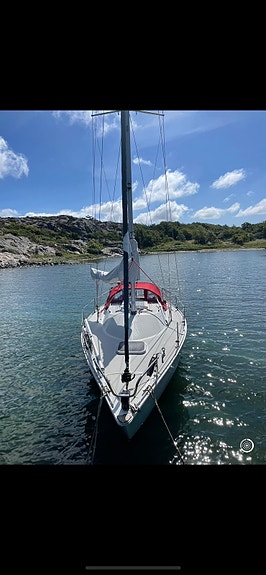 CIRRUS 7.8 (ALBIN) — View photo 1