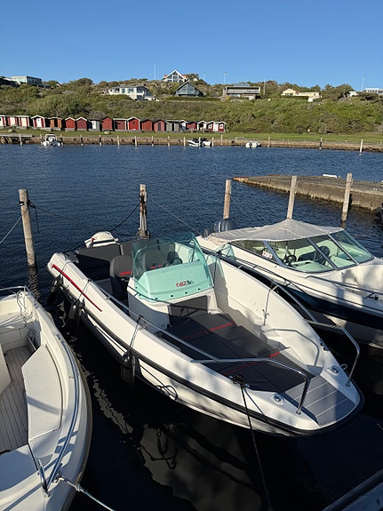 Sting 610S -16, Evinrude 115 e-tec-18 3 of 5