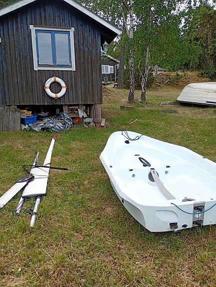 Laser Bug — View photo 1