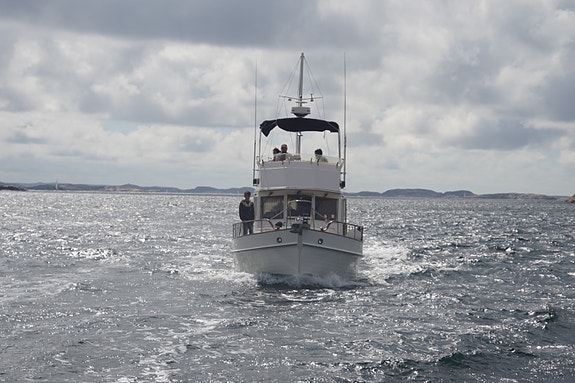 Grand Banks 36 Classic 4 of 5