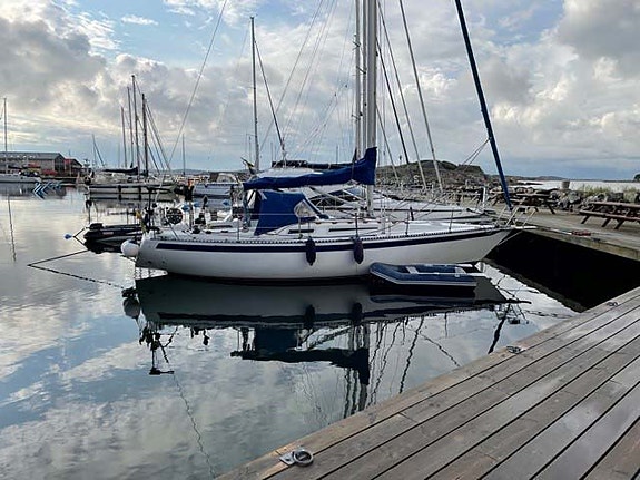 Mamba 34 — Vedi foto 1