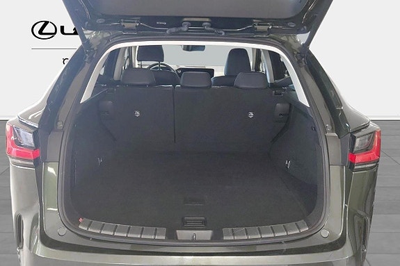 Lexus NX350h 10 of 11