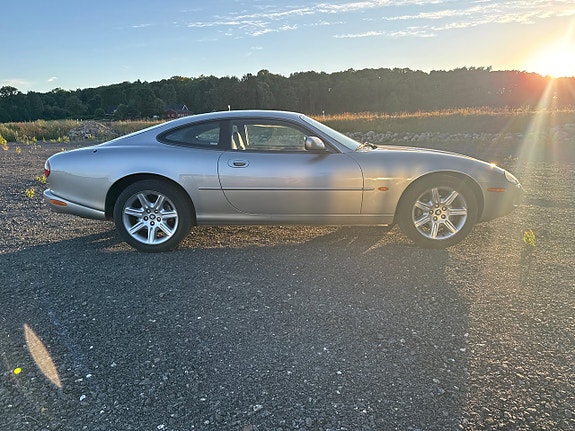 Jaguar XK 23 of 26