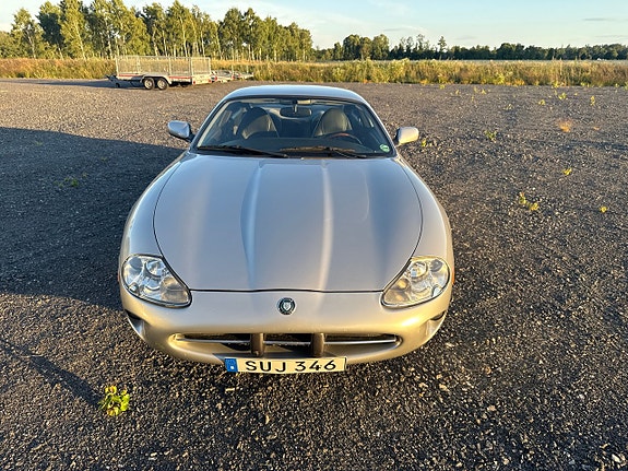 Jaguar XK 19 of 26