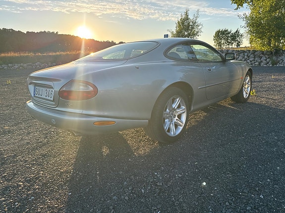 Jaguar XK 24 of 26