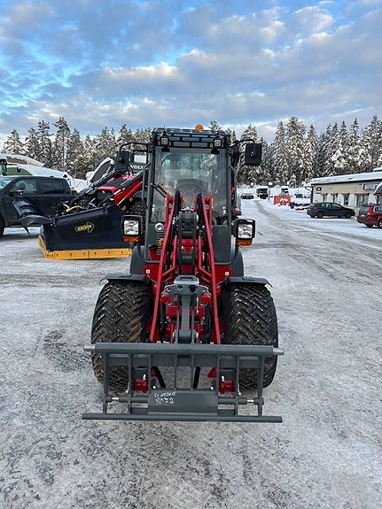 Weidemann 1880 7 of 8