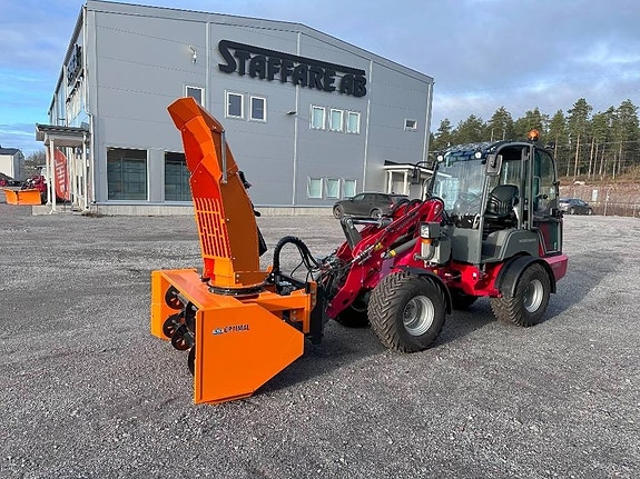 Weidemann 1880 3 of 8