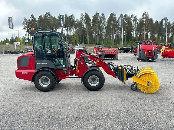 Weidemann 1880 4 of 8