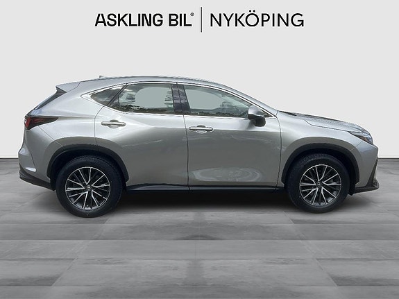 Lexus NX350h 11 of 11