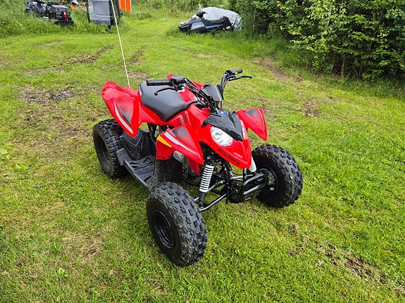 Polaris Outlaw 110 3 of 4