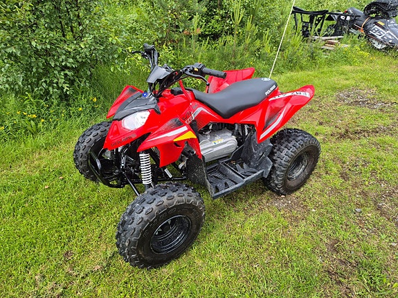 Polaris Outlaw 110