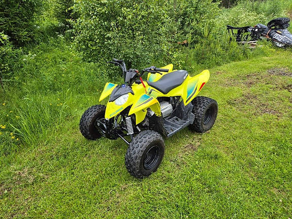 Polaris Outlaw 110