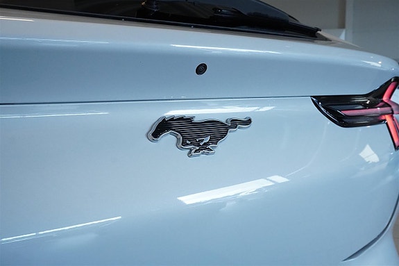 Ford Mustang Mach-E 6 of 30