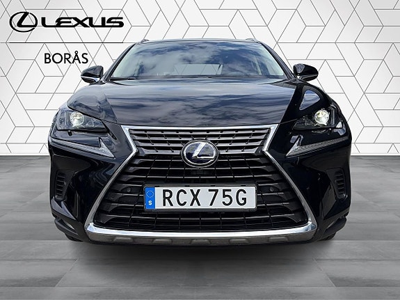 Lexus NX300h 7 of 23