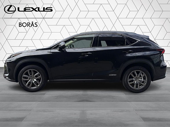 Lexus NX300h 5 of 5