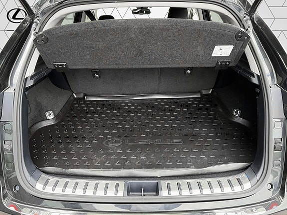 Lexus NX300h 11 of 23