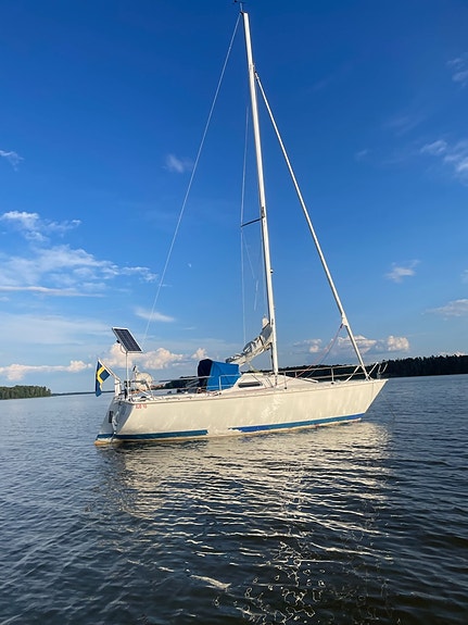 CIRRUS 7.8 (ALBIN) — Vedi foto 1