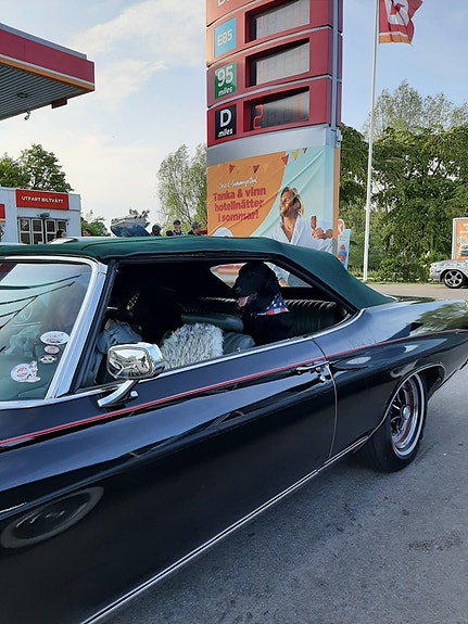 Buick Convertible 3 of 5