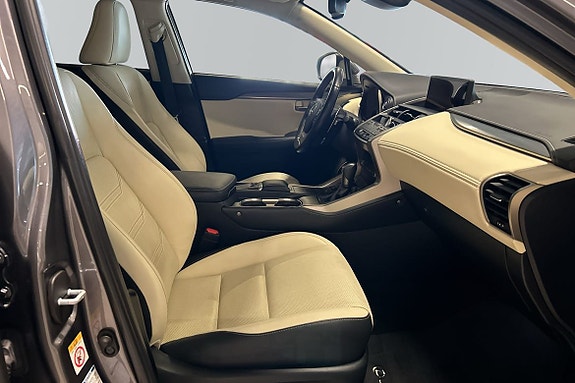 Lexus NX300h 6 of 12